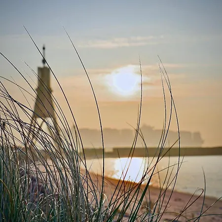 Moewe Cuxhaven