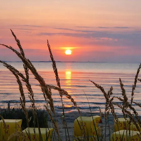 Moewe Cuxhaven